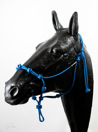 An blue-colored MG Halter, a high-quality and durable tool for effective horse training.