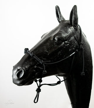 An black-colored MG Halter, a high-quality and durable tool for effective horse training.