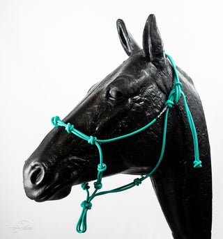 An aqua-colored MG Halter, a high-quality and durable tool for effective horse training.