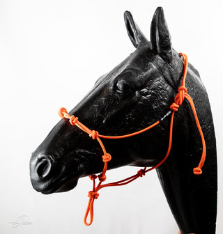 An orange-colored MG Halter, a high-quality and durable tool for effective horse training.