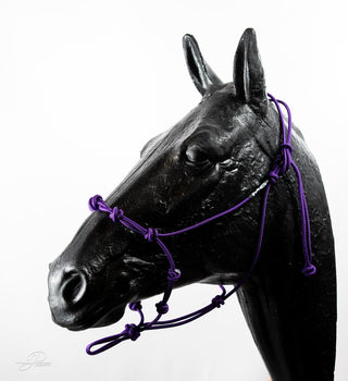 An purple-colored MG Halter, a high-quality and durable tool for effective horse training.